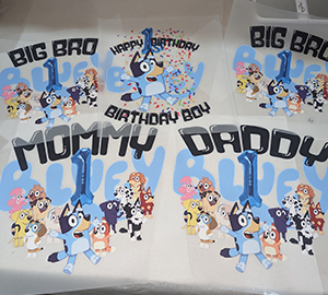 3-Shirt Birthday Bundle